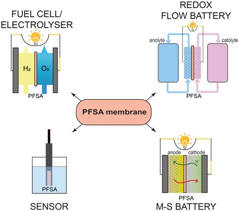 風水課程持續進修基金|PFSA